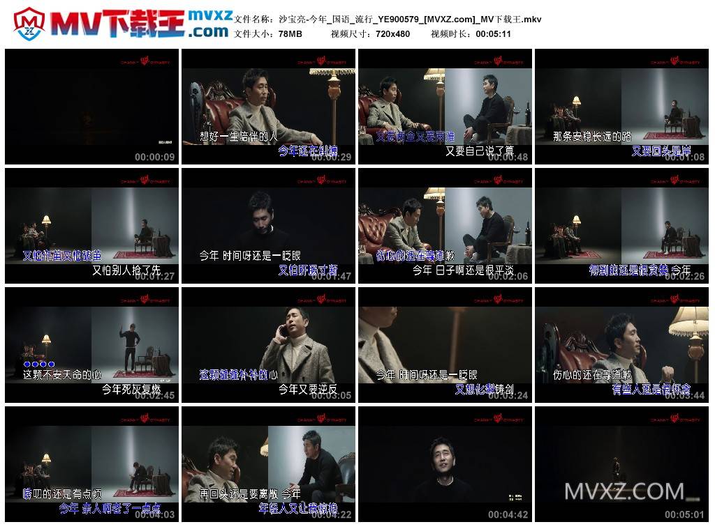 沙宝亮-今年_国语_流行_YE900579